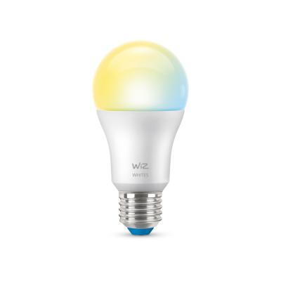 WiZ Tunable White Lampe E27 A60 60W matt 