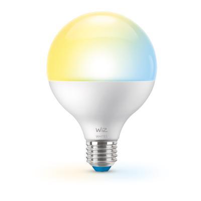 WiZ Globe Tunable White E27 75W matt - Smarte Globe-Lampe