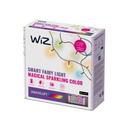 WiZ Fairy Light Color 20m - Outdoor Lichterkette