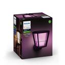 Philips Hue White & Color Ambiance Econic Wandleuchte stehend 1140 lm - 2er-Set 