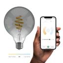 Hombli Filament Bulb CCT E27 G95-Smokey - Silber_Bulb_Phone